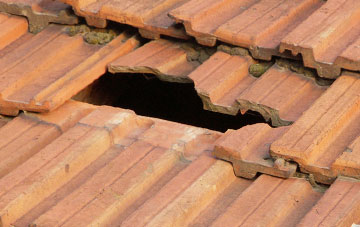 roof repair Downhill